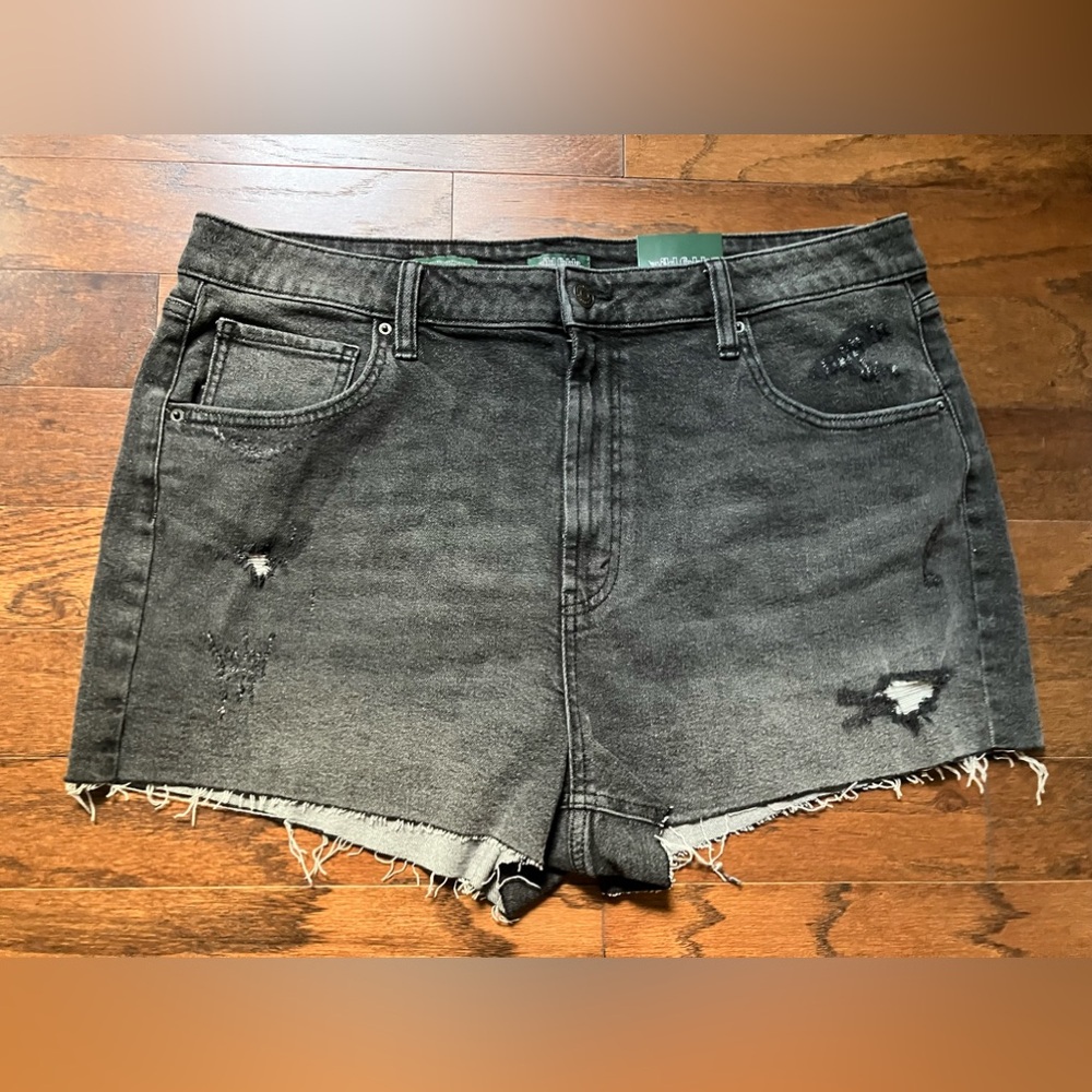 Plus size shorts